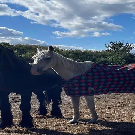 With Sauna And Whirlpool بيت للعطل *