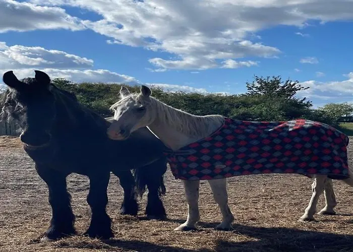 With Sauna And Whirlpool Hébergement de vacances *
